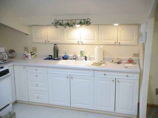 http://www.datalinkplus.com/apts/Apartments/Loft/cabinets.JPG