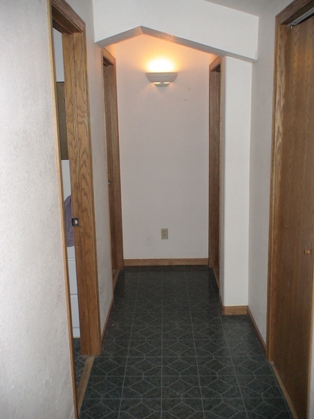 http://www.datalinkplus.com/apts/Apartments/Loft/hall.jpg